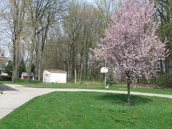 2nd image of 9756 Pamela Dr