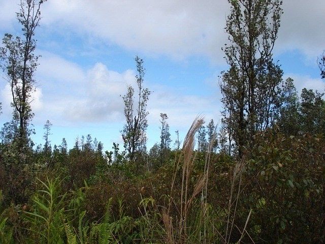 1st image of Aloha Dr Lot 38