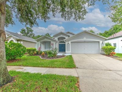 15543 Martinmeadow Dr, Lithia, FL, 33547