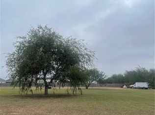 1419 Vida Grande St, Alamo, TX 78516