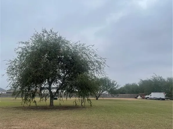 1419 Vida Grande St, Alamo, TX 78516
