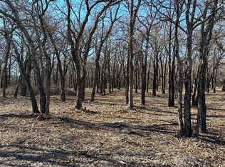 659 E Canyon Creek Ln, Weatherford, TX 76087