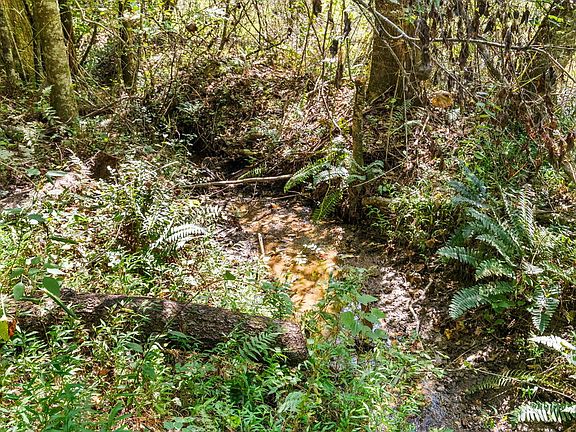 4th image of State Route 1305 Qualla Rd