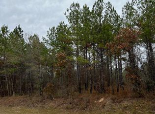 LOT 11 Point Wanita Lake Rd, Chunky, MS 39323