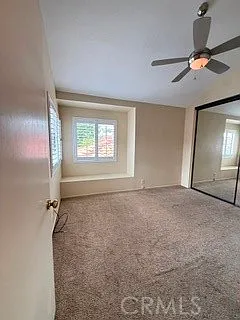 25 Palmera — Photo 17