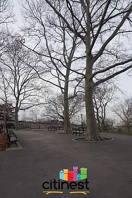 Rented by Citi Nest Group LLC | media 23