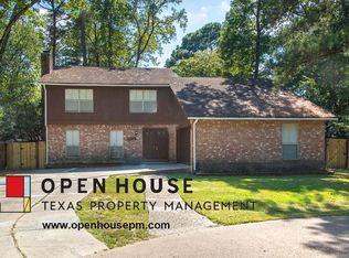 11 Fiddleleaf Ct, Spring, TX 77381