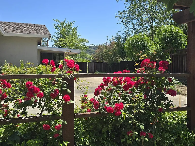 2 Rae Ct — Photo 24