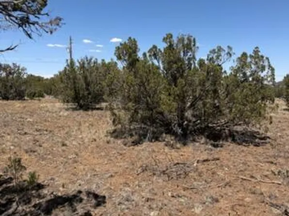 8476 Elkhorn Dr, Show Low, AZ 85901