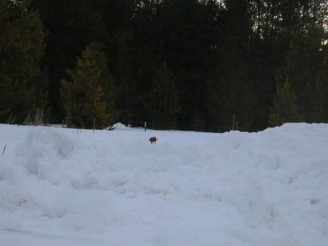 1st image of 17 Crane Shores Dr