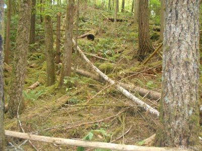 6950 Baker Cir, Glacier, WA, 98244