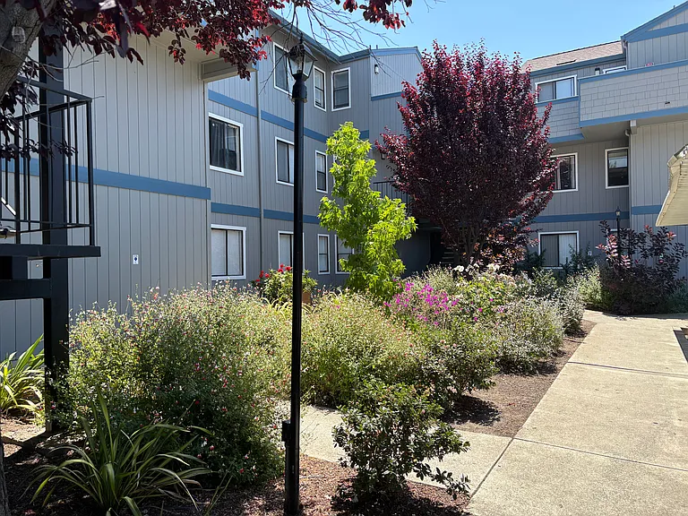 Dixon Landing Apartments — Photo 21