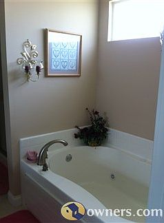 Master Bath Spa Tub