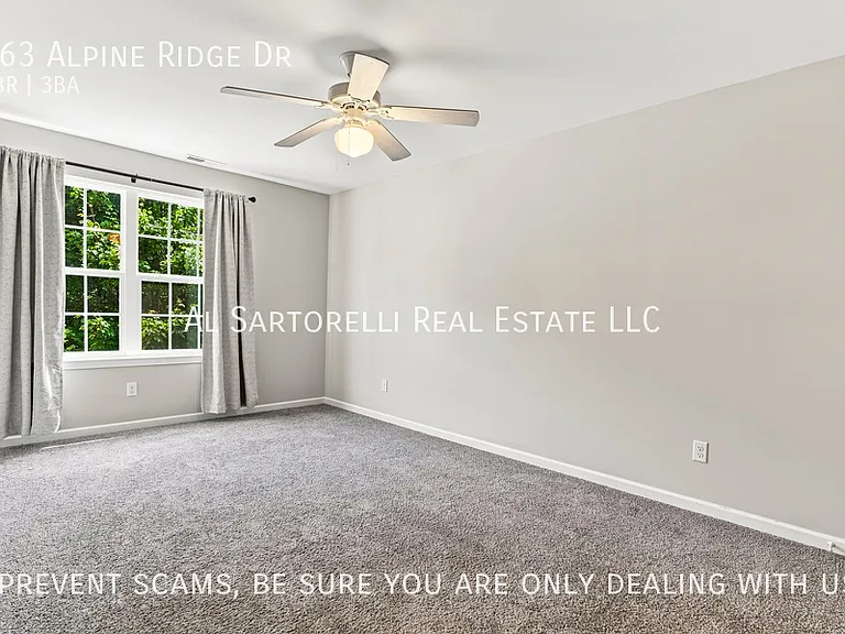 163 Alpine Ridge Dr — Photo 25