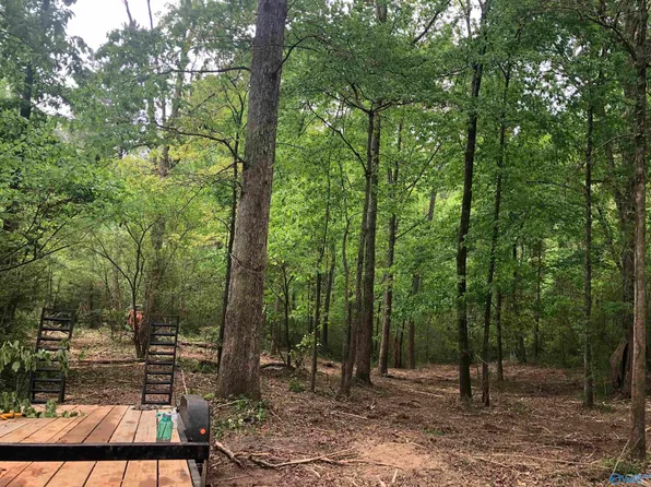 18 & 19 Meadow Wood Cir NW, Arab, AL 35016