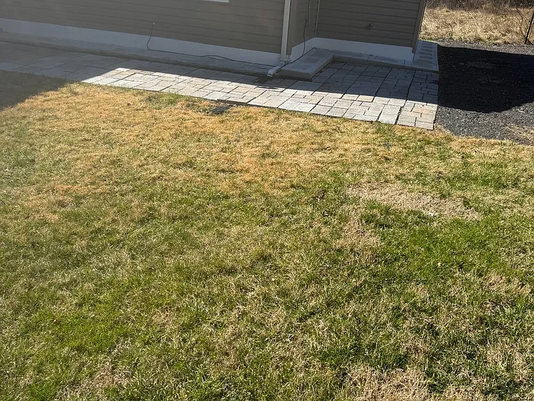 118 Norwood Rd — Photo 19