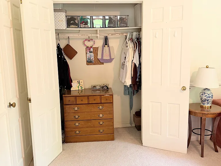 Primary closet