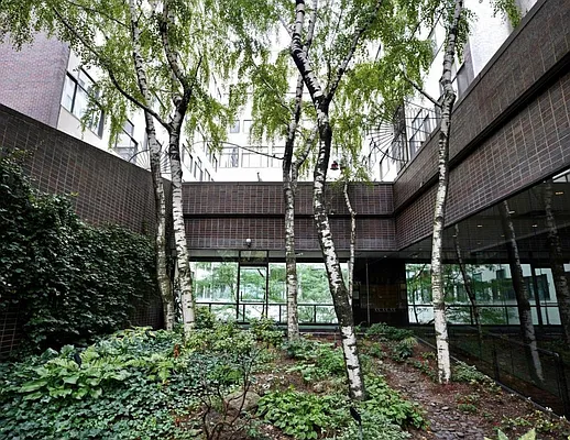 Sold by Douglas Elliman | media 17