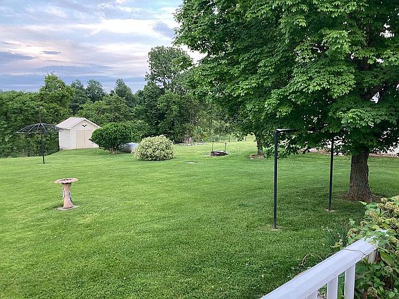 Backyard- looking east 