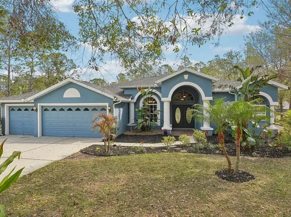 7546 Richland St, Wesley Chapel, FL 33544