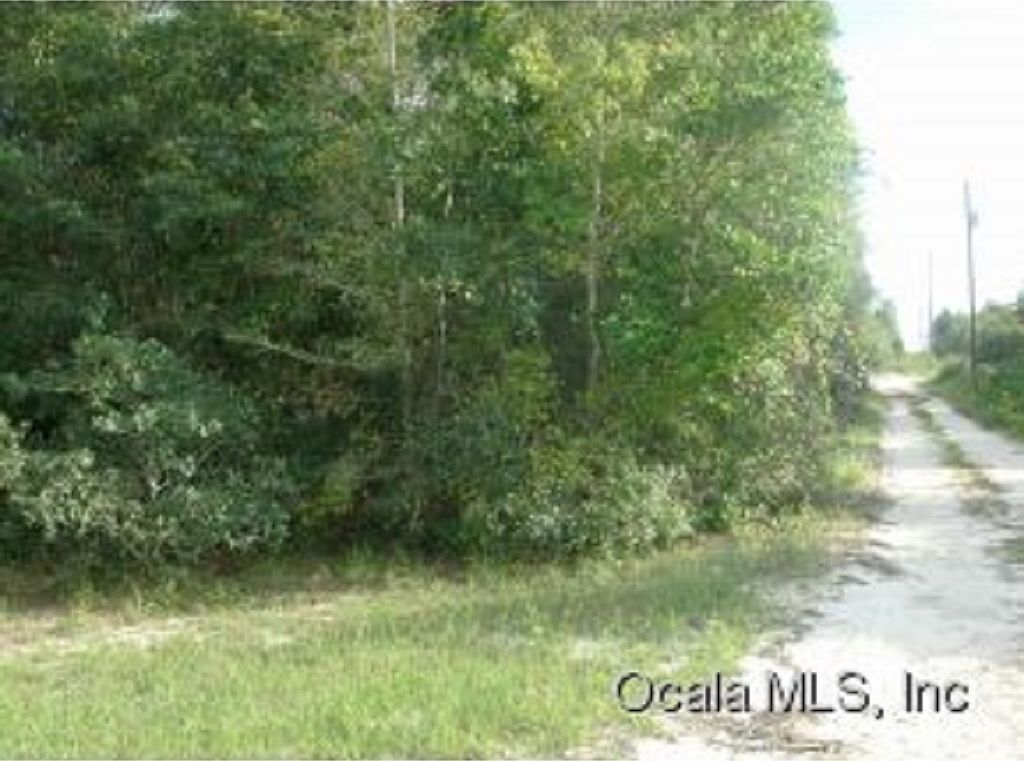 8003 NE 306th Ter, Salt Springs, FL 32134 Zillow