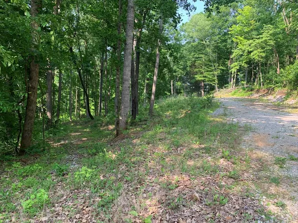 147 Chestnut Hill Rd, Livingston, TN 38570