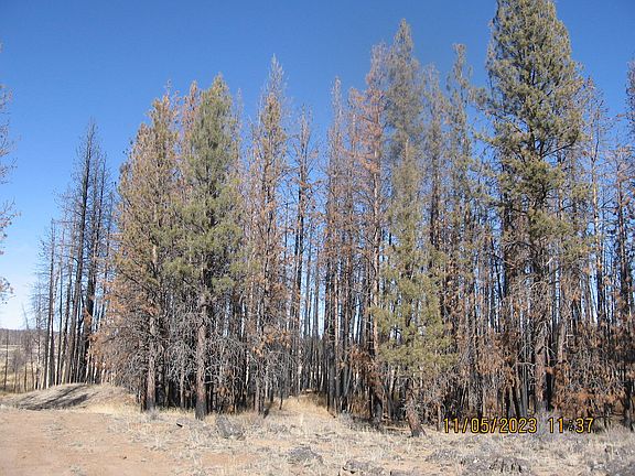 3rd image of LOT 14 N White Birch Way