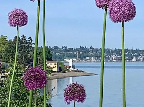 7316 E Side Dr NE, Tacoma, WA 98422