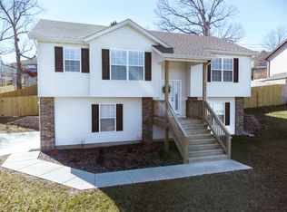 397 Spring Meadow Pkwy, Branson, MO 65616