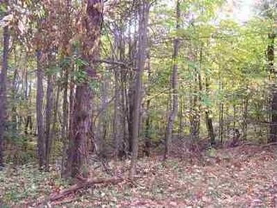 Pequaming Rd, Lanse, MI, 49946