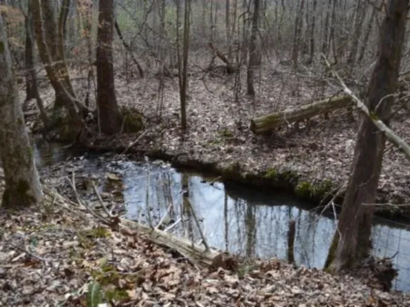 87/AC Boles Rd, Hilham, TN 38568