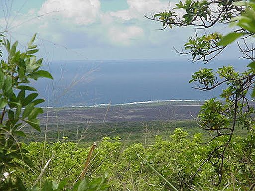 1st image of Puka St
