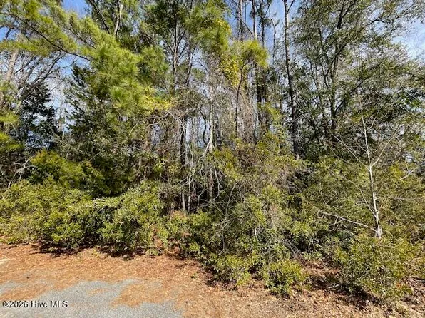 LOT 38 Cedar Find Cv, Wilmington, NC 28411