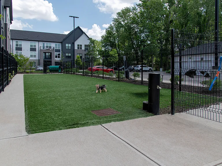 Lavina Dog Park