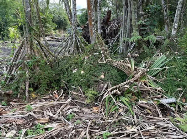 Ono St Lot 1506, Pahoa, HI 96778