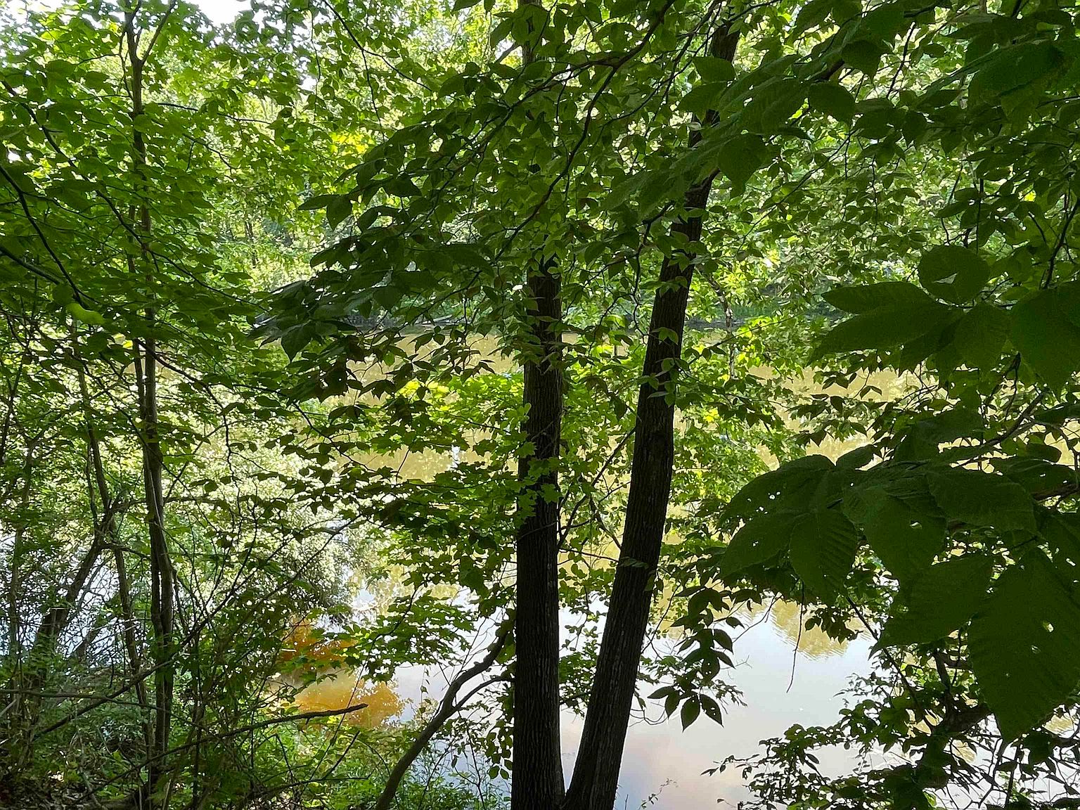 2337 Lucas, High Falls, NY 12440 MLS 20232118 Zillow