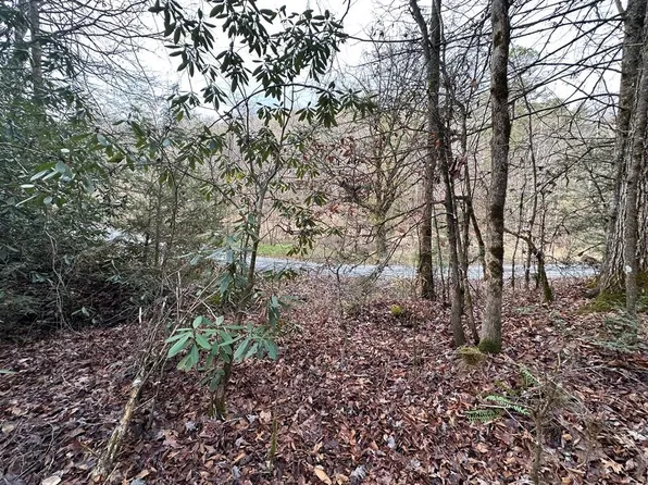 0 Little Bear Way, Cosby, TN 37722