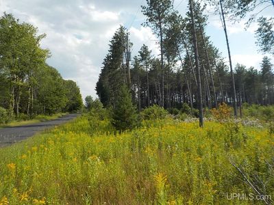 Phelan Rd, Crystal Falls, MI, 49920