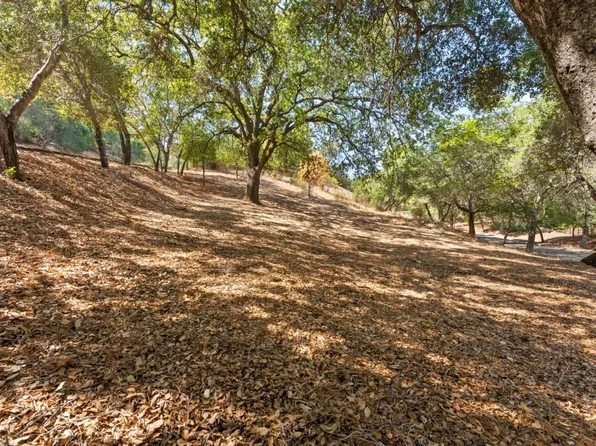16099 Greenwood Rd, Monte Sereno, CA 95030