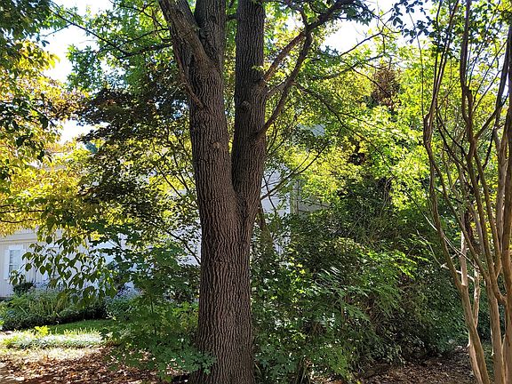 2nd image of 5733M Bramblegate Dr