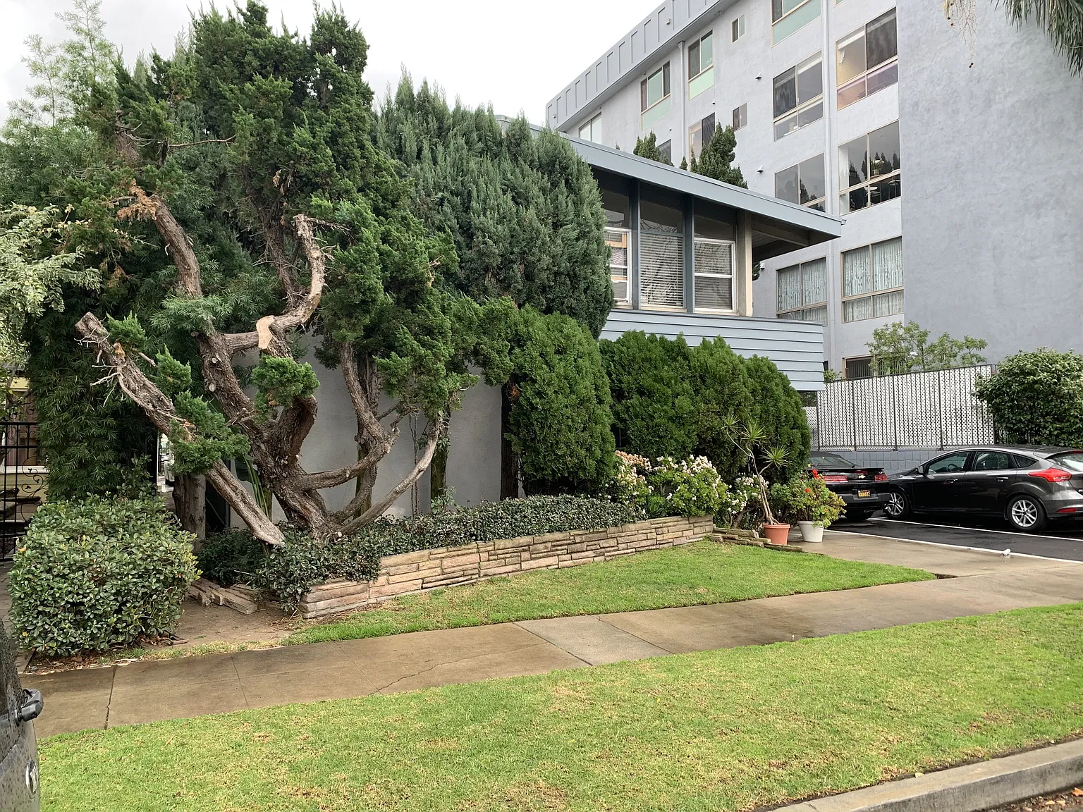 Lido Apartments - 446 S Maple Dr — Photo 2