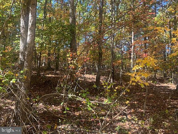 3rd image of Pinehurst Dr #207