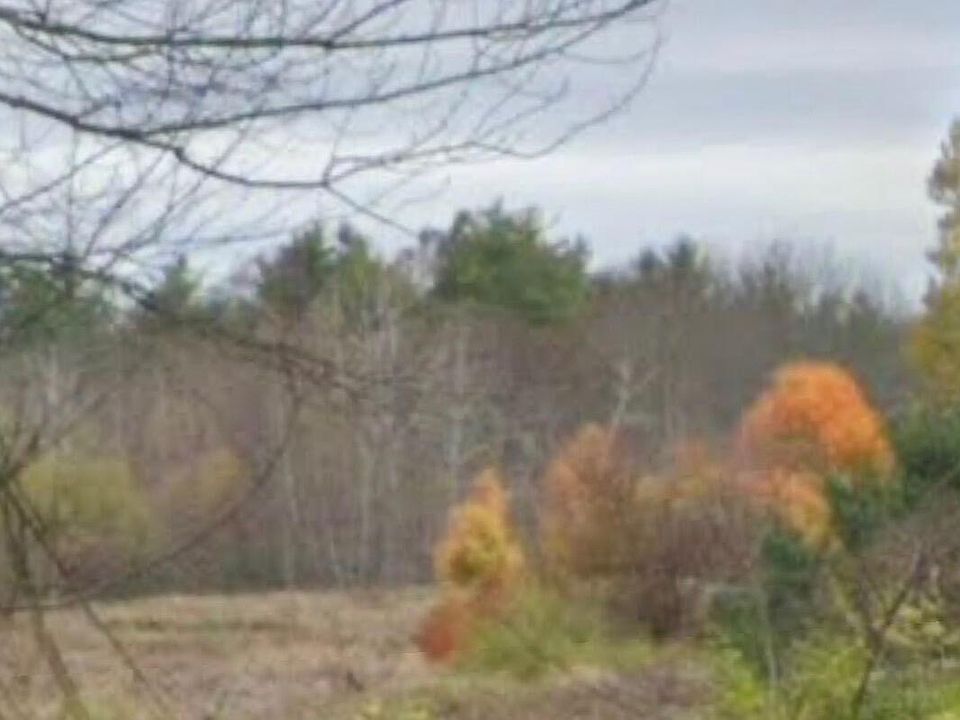 2nd image of 265 Webber Hill Road
