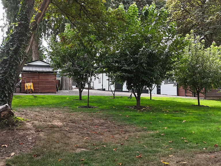 3641 SW Halcyon Rd — Photo 9