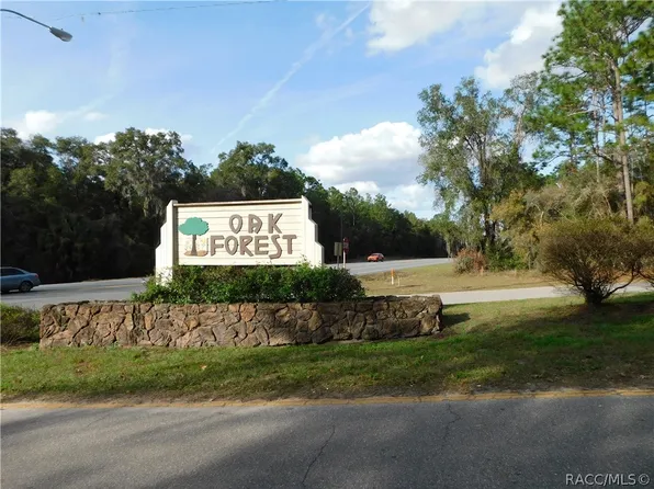 12141 S Daffodil Point, Floral City, FL 34436