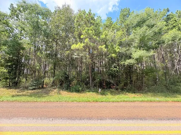 (undisclosed Address), San Augustine, TX 75972