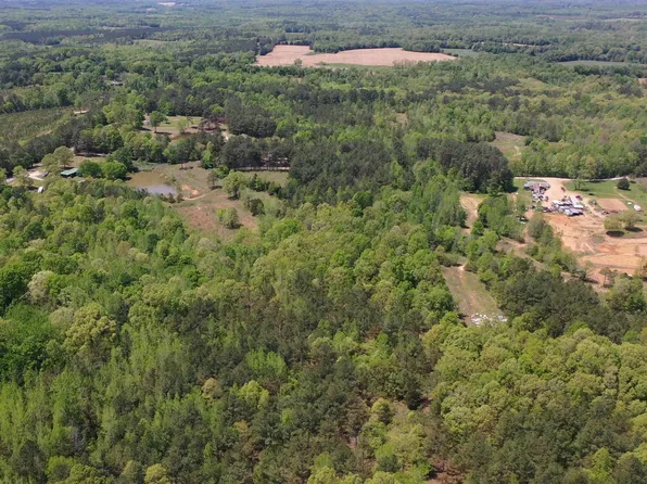 0 Malone Cemetery Rd Lot 8, Finger, TN 38334