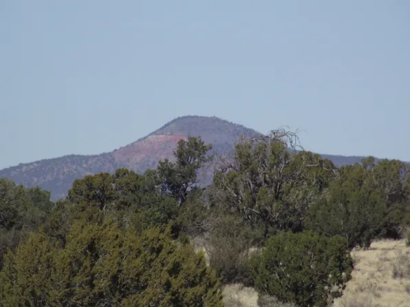 3368 E Antelope Vis, Williams, AZ 86046