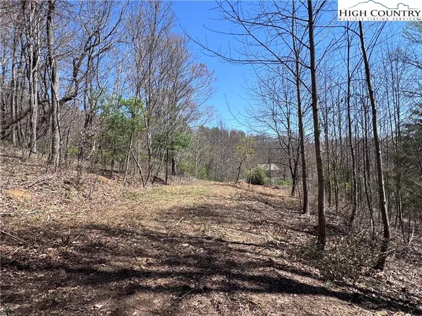 Lot 70 Laurel Mountain Drive, Sparta, NC 28675