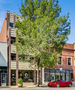 3864 N Lincoln Ave #2, Chicago, IL, 60613